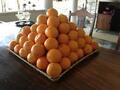 Sinaasappels