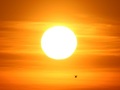 Zon