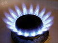 Gaspitje