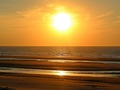 Zon