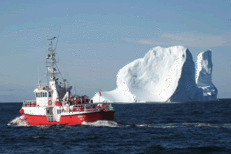 Mega-ijsberg strandt bij South Georgia