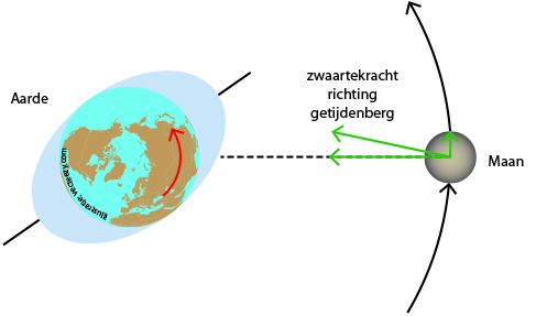 Natuurkunde nl Het Ontstaan Van Eb En Vloed Natuurkunde nl Het Ontstaan Van Eb En Vloed