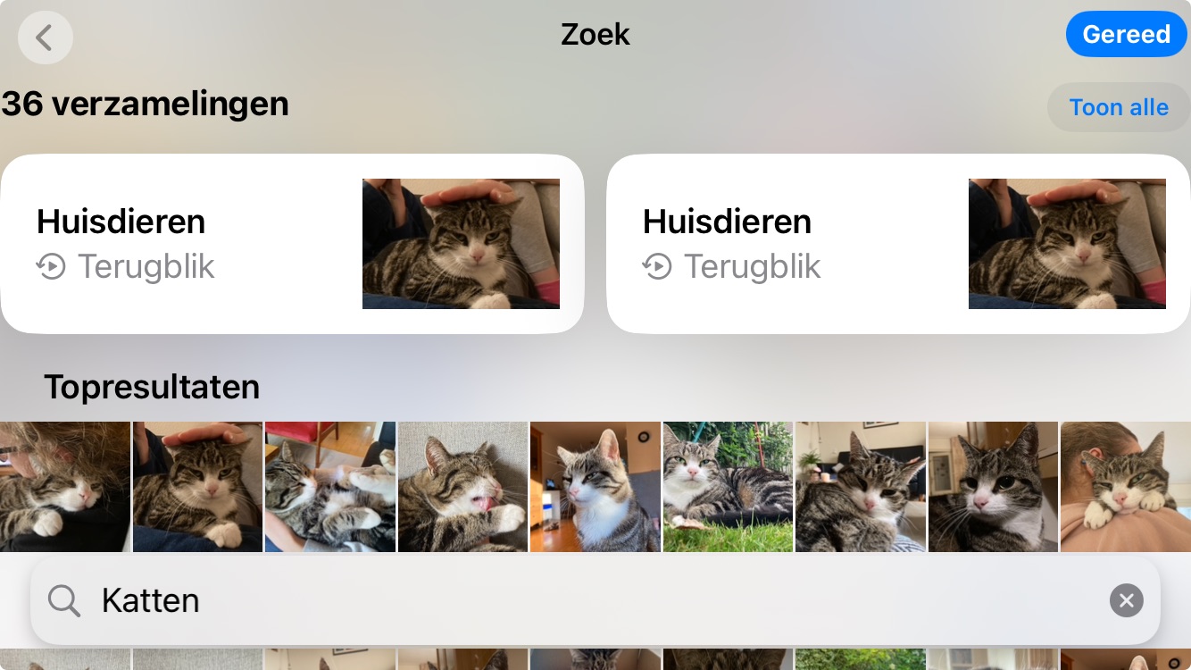 Figuur 1: Bij het zoeken naar kattenfoto’s gebruikt je smartphone ook AI. Bron: auteur.