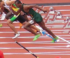 Figuur 2. Bron: Wikimedia Commons