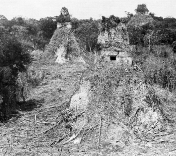 Figuur 1. Tikal in 1882 na verwijdering van de begroeiing. Bron: Wikipedia