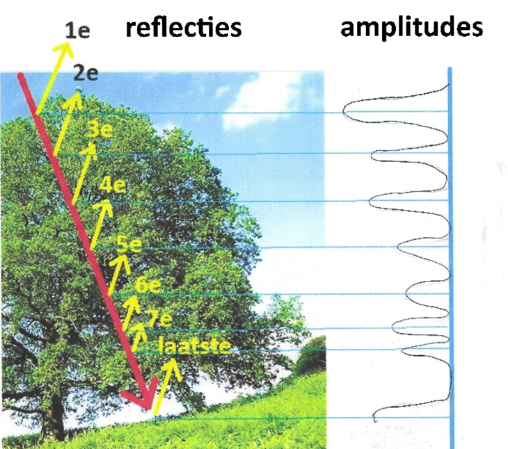 Figuur 5. De laserpuls reflecteert op diverse onderdelen van de boom en gaat gedeeltelijk door tot aan de grond (versimpelde weergave). Aan de rechterkant zie je hoe de sterkte van het teruggekaatste signaal varieert in de hoogte. Ook hier lijkt het alsof de lidarbundel een lichtstraal is en alsof die terugkaatst volgens de spiegelwet. Dat is niet zo. Het ruwe oppervlak van bladeren zorgt voor diffuse terugkaatsing. Getekend in een afbeelding van Wikipedia.