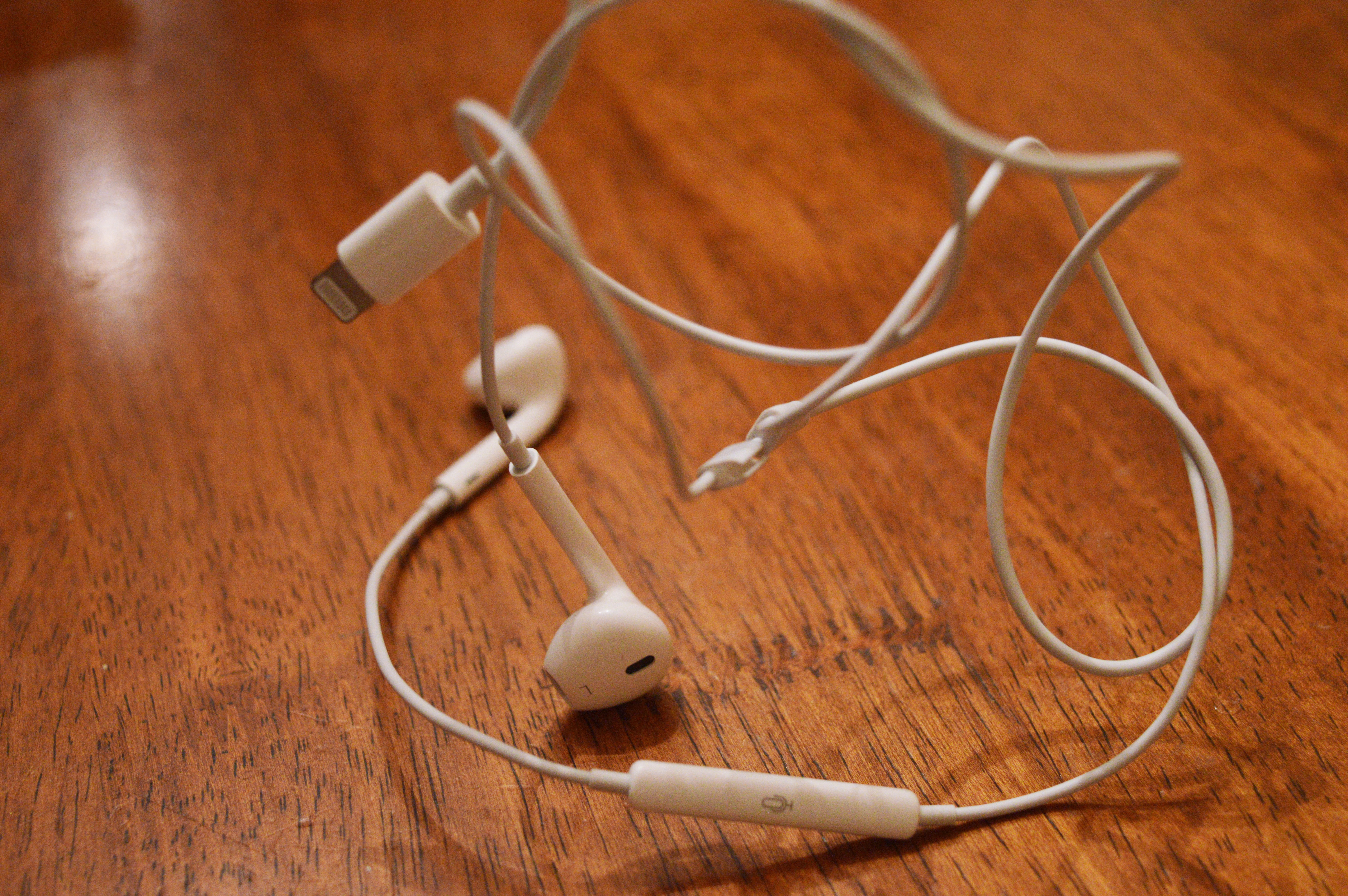 Figuur 2: Snoertje in de war. Bron: WikiCommons