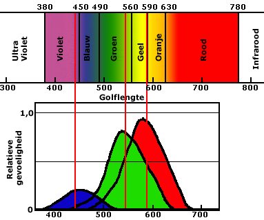 Natuurkunde.nl Kleur waarnemen